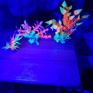Three Glow Light Aquarium Plants